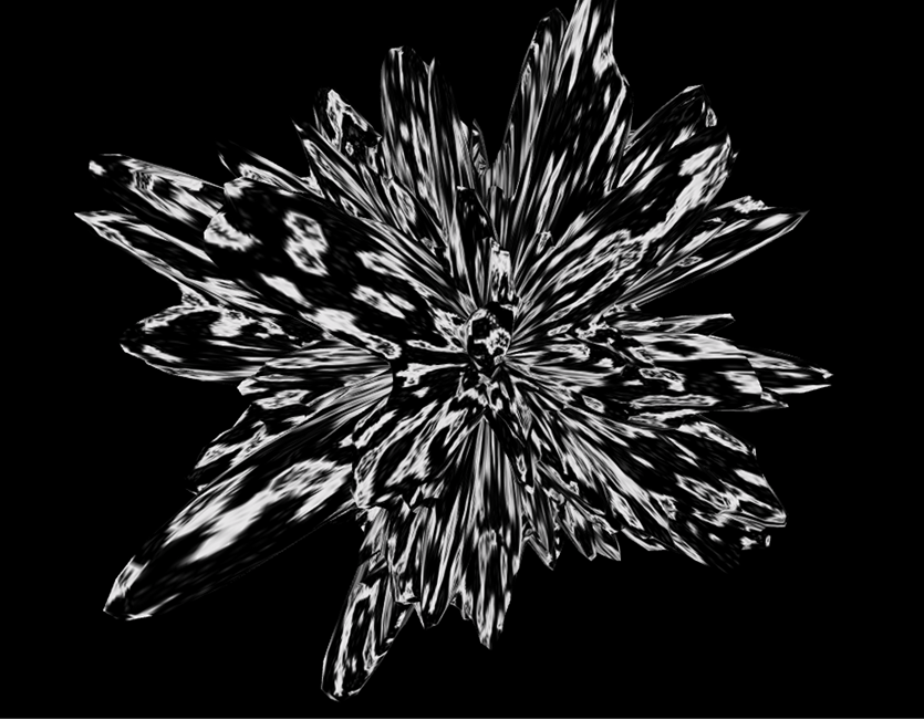 Generative Art Study